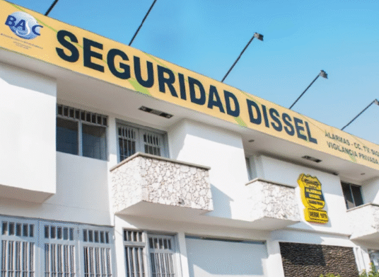 SEGURIDAD DISSEL GOOGLE MI NEGOCIO
